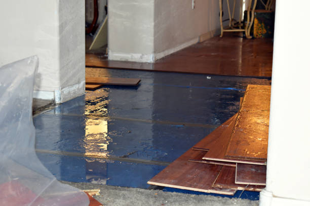 Professional Flood Damage Repair technician working in Brohman, MI
